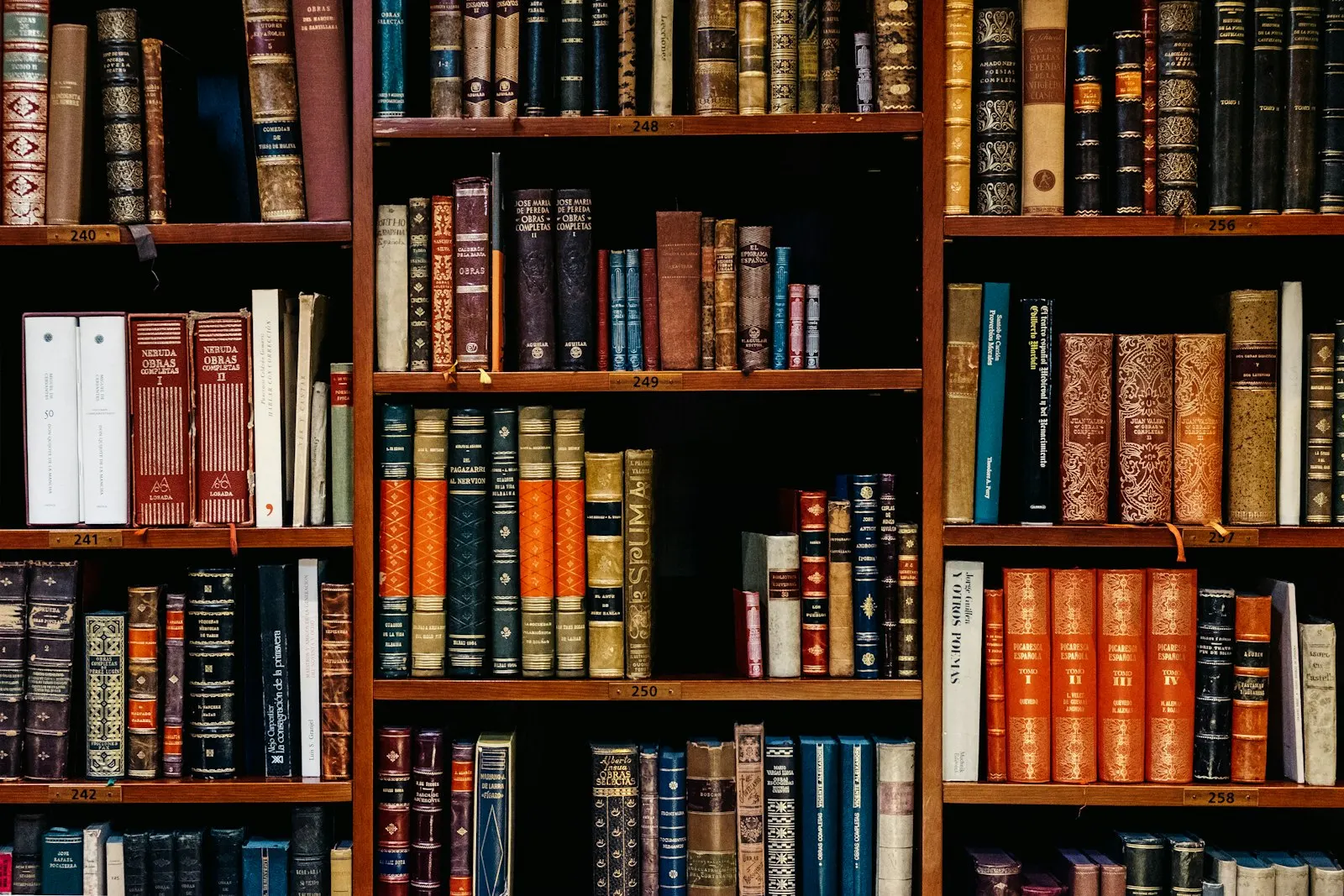 Explore Courses and Reading Programs